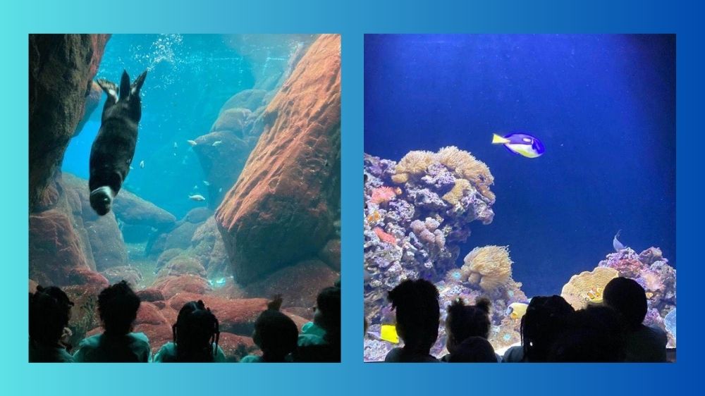 Crianças do CIDACL descobrem maravilhas do mar no Oceanário