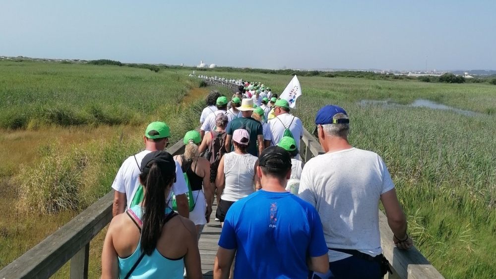 Caminhada Mutualista da AMSM junta mais de 200 pessoas